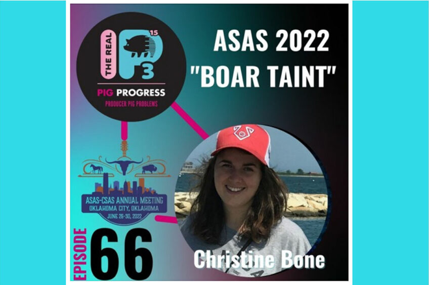 Podcast: ASAS 2022 Special – Boar taint