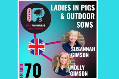 Podcast: Ladies in Pigs, and outdoor sows