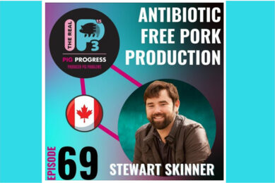 Podcast: Antibiotic-free pork production