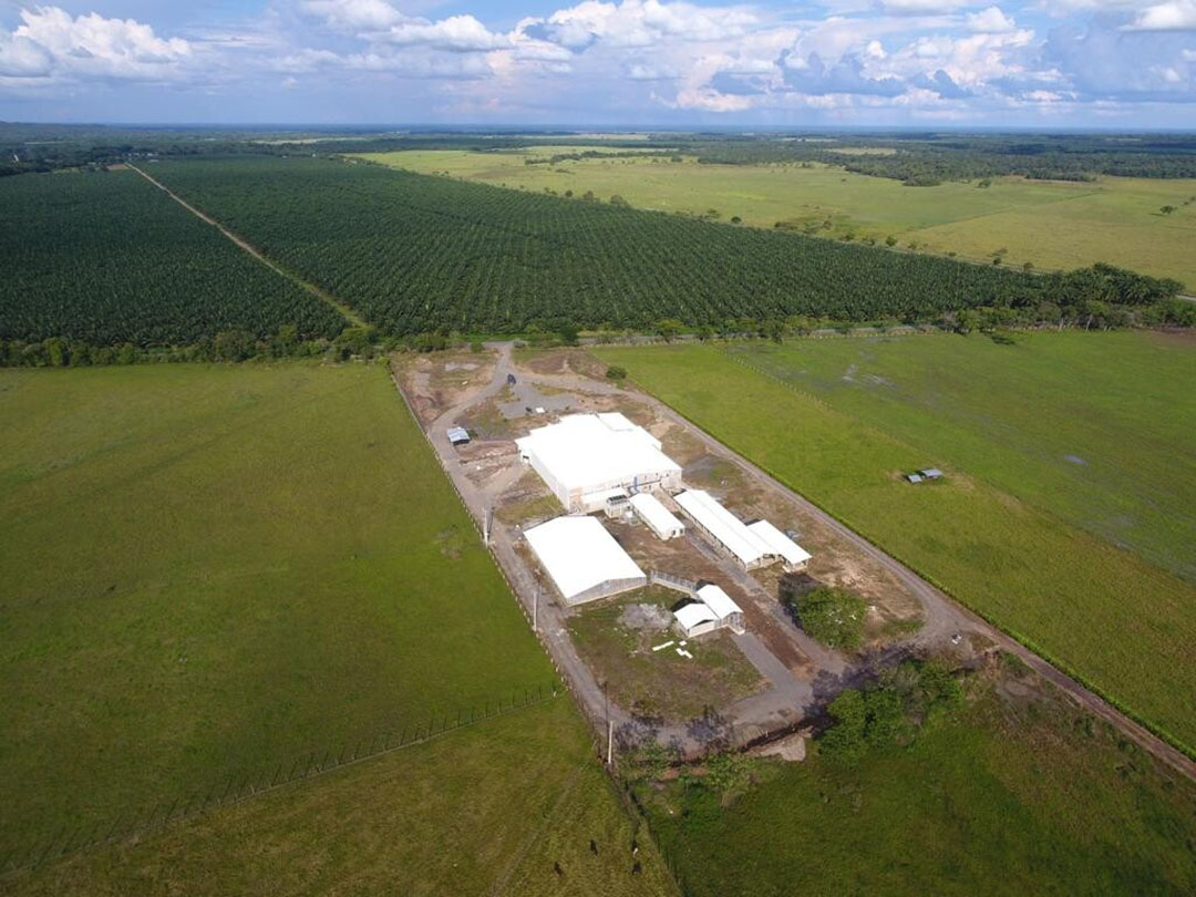 The new slaughterhouse in an aerial picture.