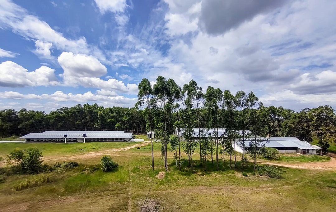 The new rented facility for another 700 sows, at 150 km from the HoCoTec facility.