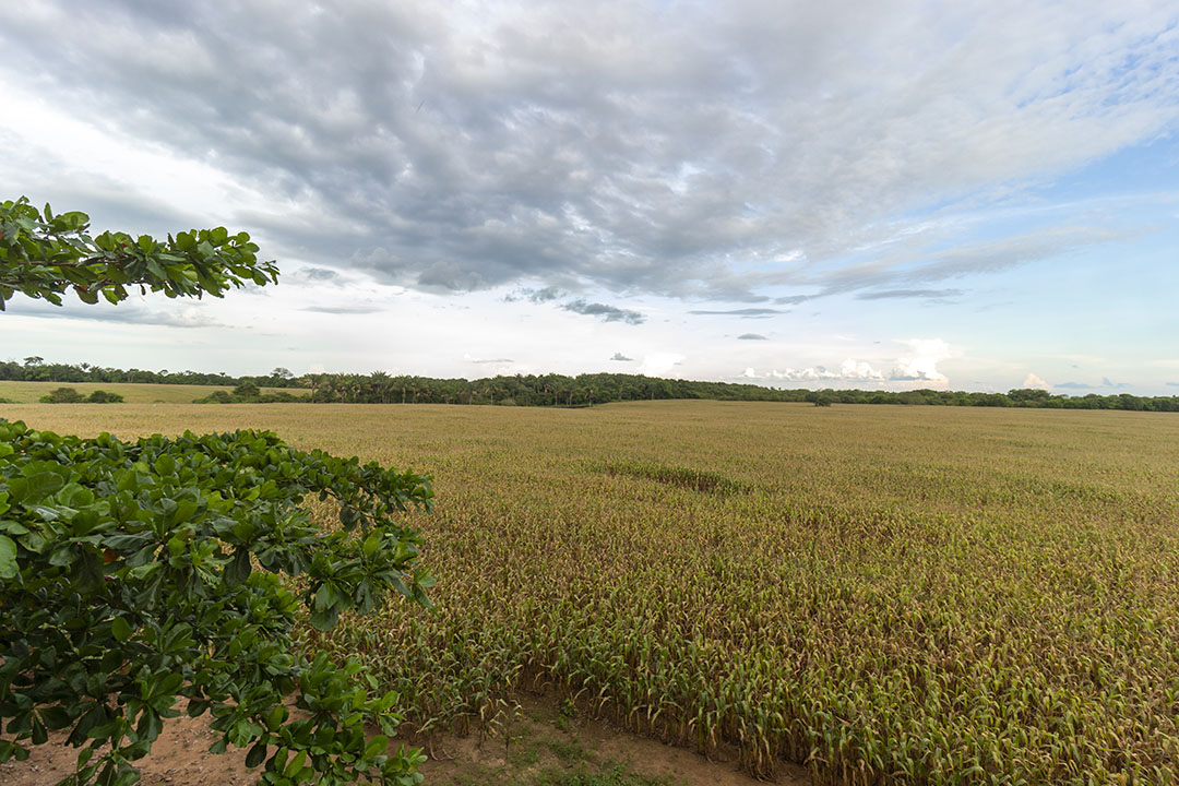 Grounds are actively being acquired to become independent in terms of feed ingredients.