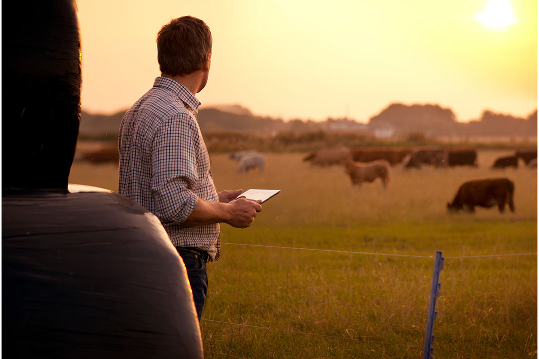 Though farmers do an amazing job of caring for their land and animals, they understand they are under the critical eye of the public. Photo: Canva