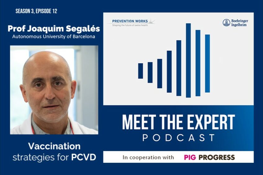Podcast: Vaccination strategies for PCVD