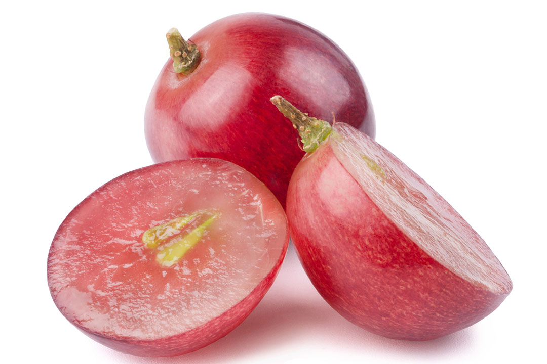 Grape seed procyanidins can improve gut health - Pig Progress