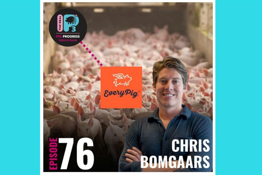 Podcast: Bringing solutions and change to the swine industry