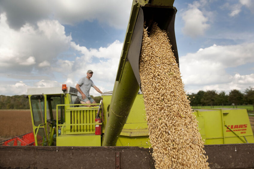 high oleic soybean oil