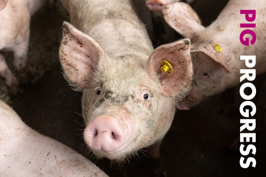 Antibiotics, acids and Aragón in Pig Progress, issue 9 - Pig Progress Antibiotics, acids and Aragón in Pig Progress, issue 9 - Pig Progress
