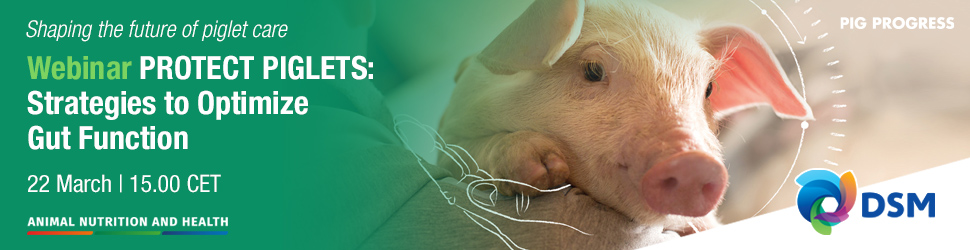 Webinar 'PROTECT Piglets: Strategies to Optimize Gut Function' - Pig  Progress