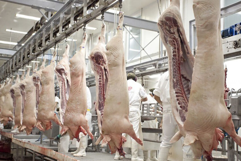 Argentina pork production