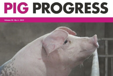 Peace, power and pre-weaning mortality in Pig Progress 4