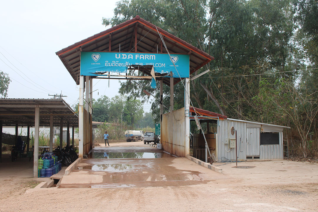 The entrance to UDA Farm, with a visitor tunnel on the right where each visitor is sprayed with disinfectant.