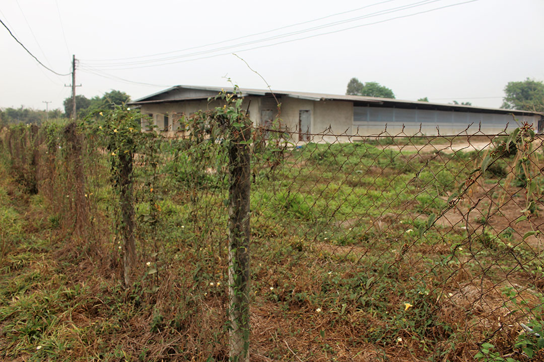 The majority of pig houses have been fenced off to keep unwanted visitors at bay.