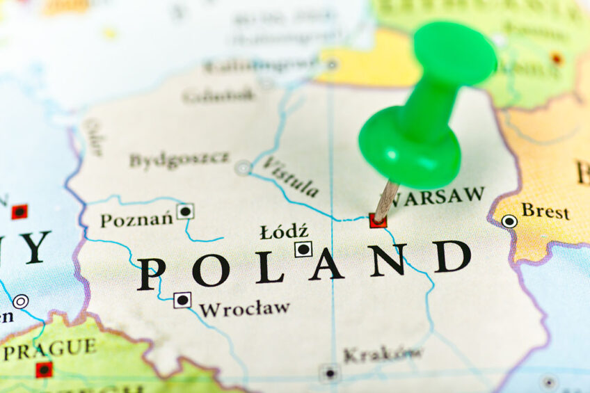 ASF Poland