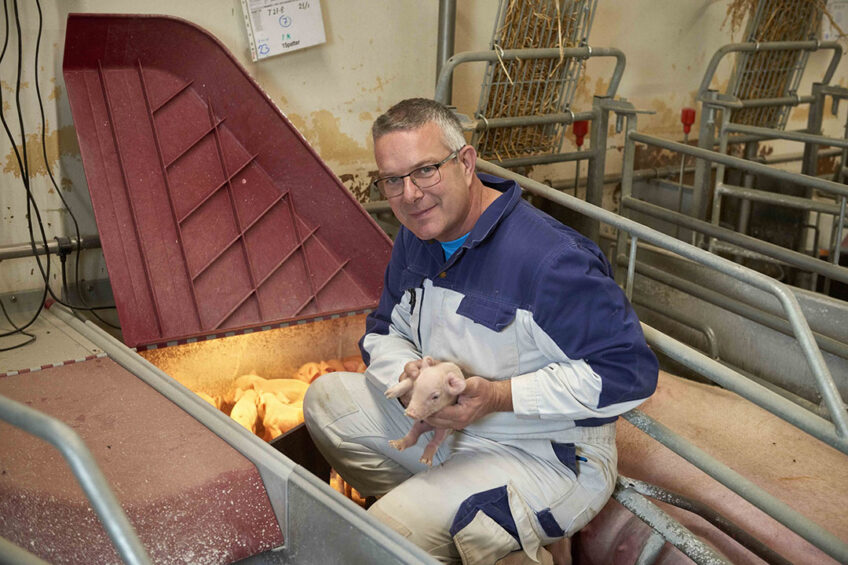 Danish pig producer, Jesper Tambour, has seen an improvement in piglet survival of 2.5 percentage points within the last 3 months. Photo: David Rosted