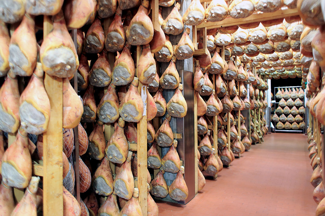 Parma hams, a typical pork product for Italy, ageing in cells. Photo: Shutterstock