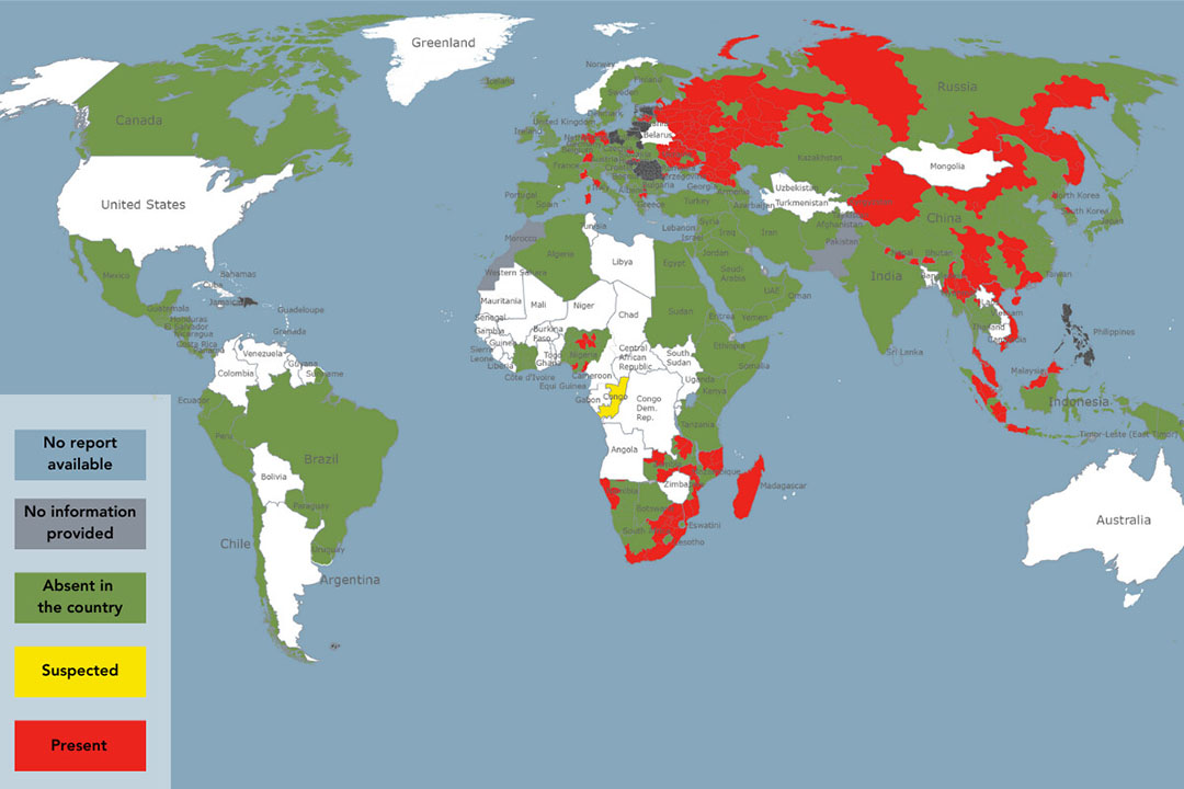 Map of the world displaying the presence of ASF by Administrative divisions (2021 –27/04/2023). Source: WOAH