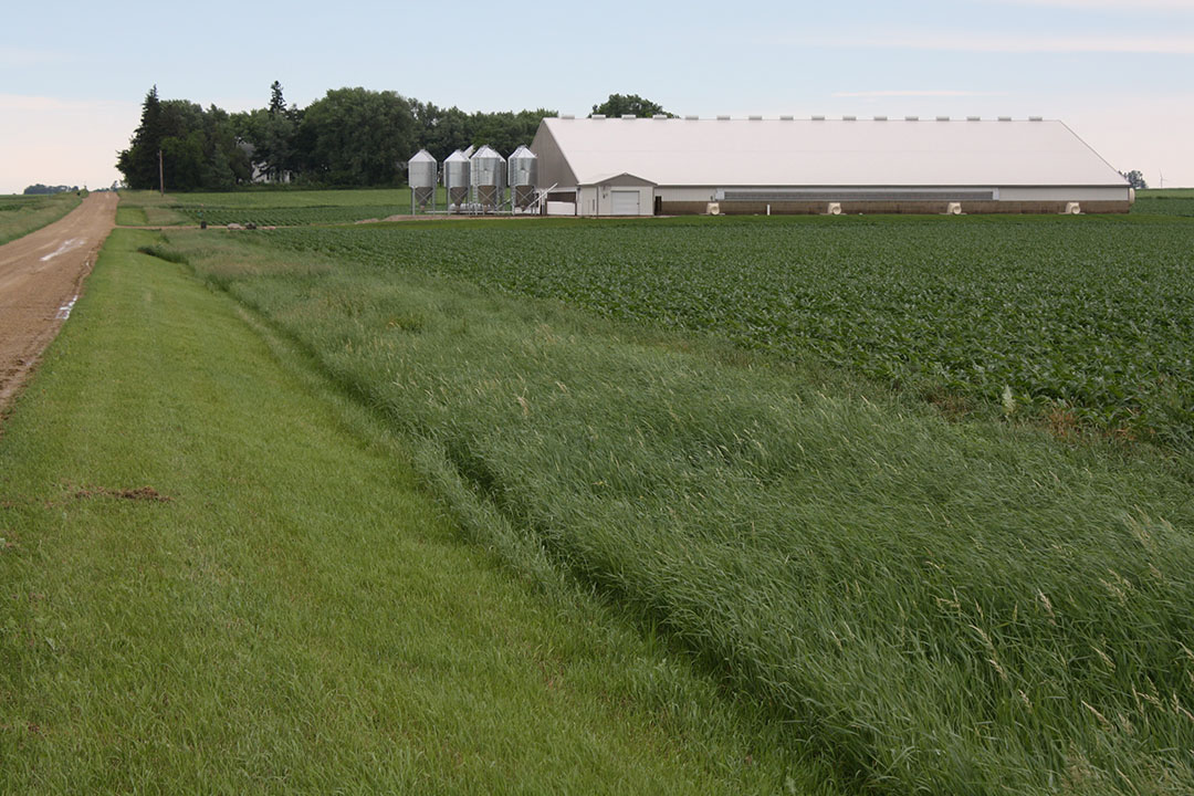 A finisher barn in southern Minnesota. Together with China, the US makes up for about 50% of the world’s pig meat production.