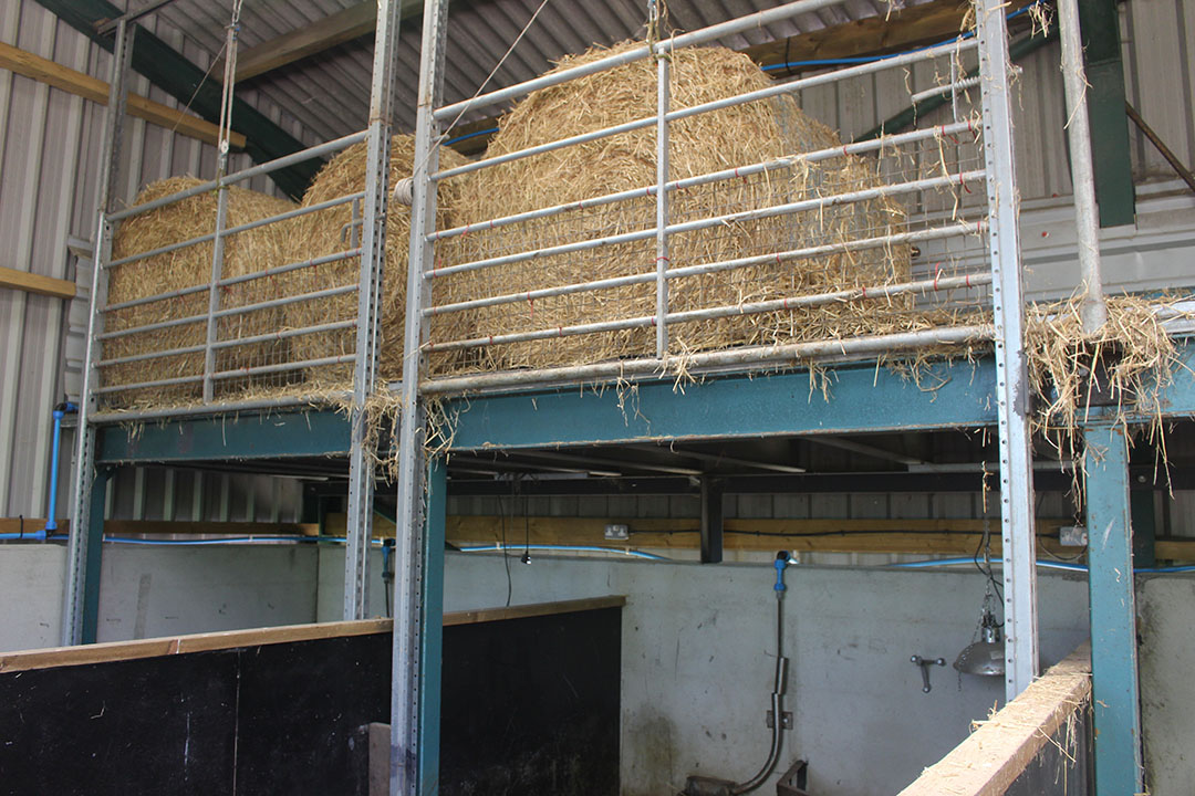 Lactating sows can easily be locked up by lowering the gates (in the picture at the level of the straw bales).