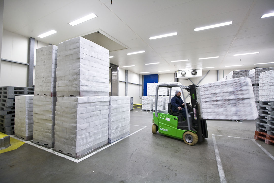 Packages of pork are shifted in a warehouse, ready for transporting.