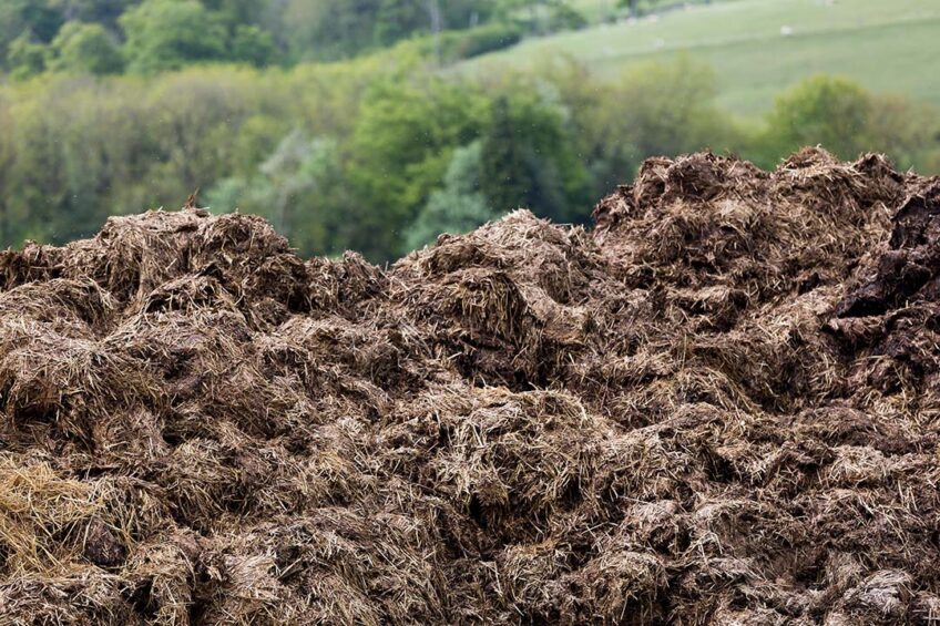 The fate of antibiotics in livestock manure