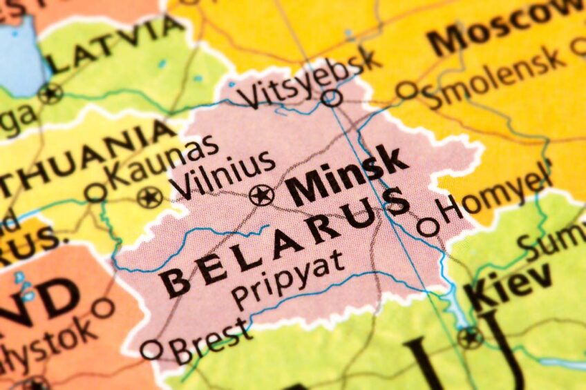 Pig industry Belarus
