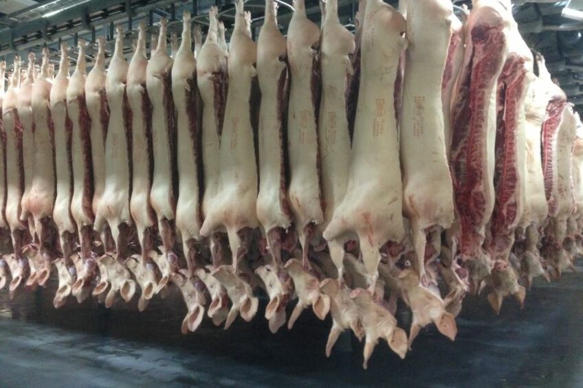 UK pork production at 5-year low