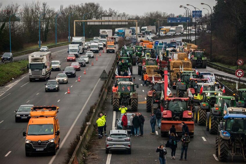 pig farmers protests