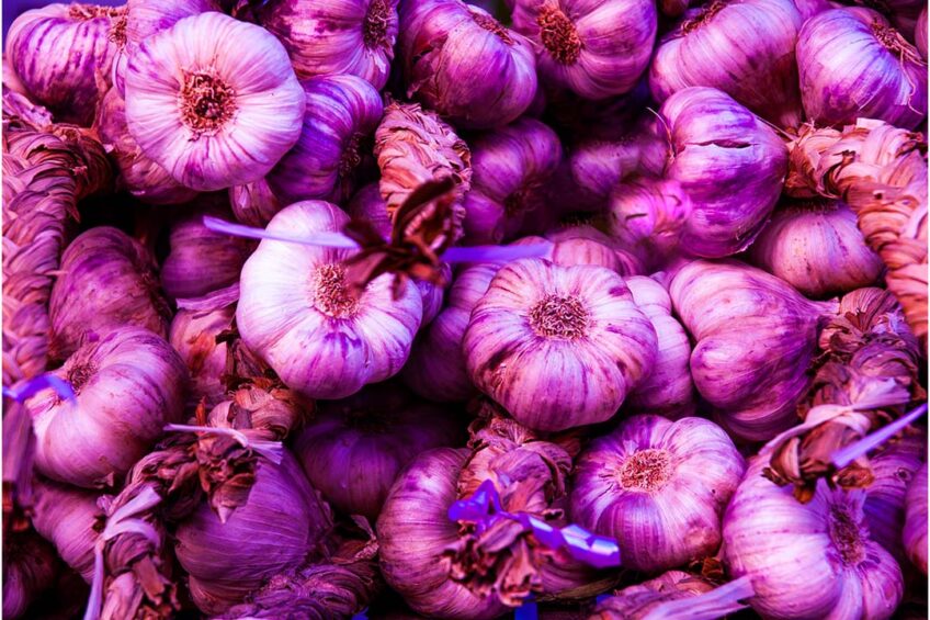 Oregano essential oil and purple garlic offer similar or superior results to ZnO when added to pig feed. Photo: Canva