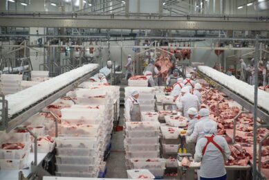 pork export China