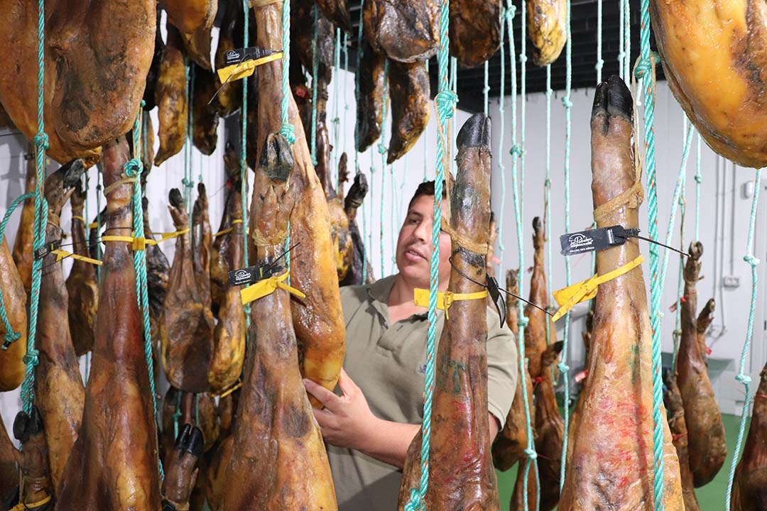 Antonio Cano is regularly checking the hams that can be maturing up to two years. He distributes the hams himself.