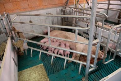 Adaptive farrowing