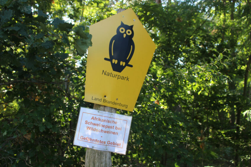 A restriction zone has been established around the location of where the wild boar tested positive for ASF. Photo: Kees van Dooren