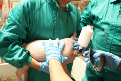 The P.I.G. Program by Ceva Animal Health is designed not just to educate, but also to measure and refine. Photo: Ceva Animal Health