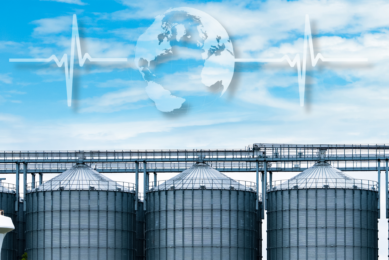 Global pig feed production dips amid regional struggles
