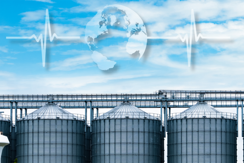 Global pig feed production dips amid regional struggles