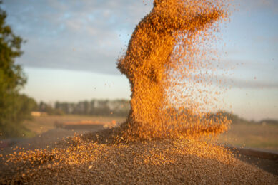 Tariffs on US grains and soy among EU’s proposed countermeasures