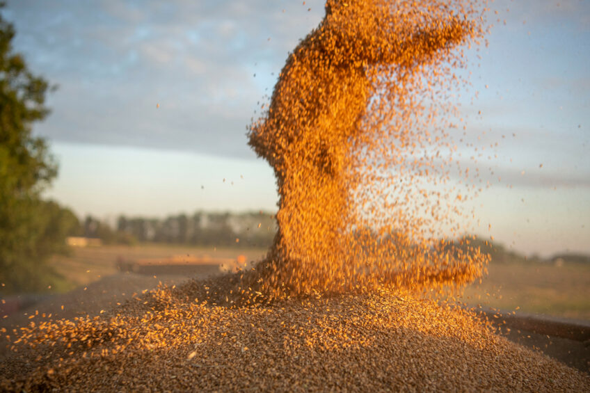 Tariffs on US grains and soy among EU’s proposed countermeasures