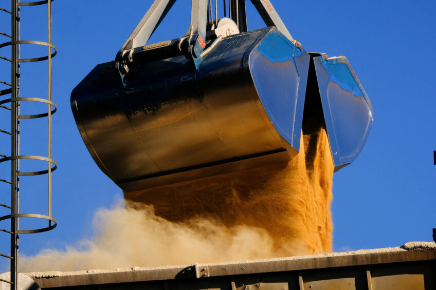 Soy transport in the port of Ghent, Belgium. Photo: Twan Wiermans
