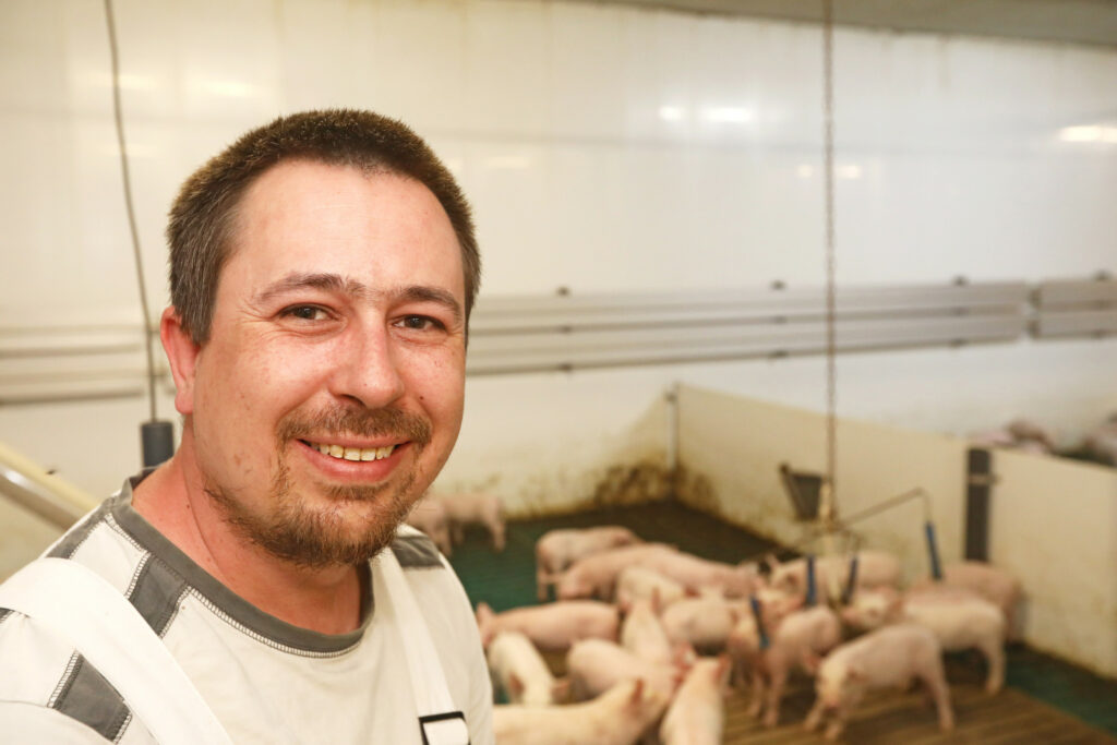 Jonas Zacharias (40) is farm manager near Dorsten, North Rhine Westphalia, Germany. The location in this visit has 1,800 sows, weaning roughly 1,000 to 1,200 pigs per week. The farm weans an average of 34.9 piglets/sows per year at 7 kg each. At 30 kg, the pigs are sold off to four finishing farms. As the male pigs are not castrated, the farm keeps males and females separate. The pigs on the farm are a crossbreed of BHZP’s db.Viktoria sow and a Piétrain terminal sire. The piglets get vaccinated against Mycoplasma hyopneumoniae, Porcine Circovirus 2 and PRRS virus.