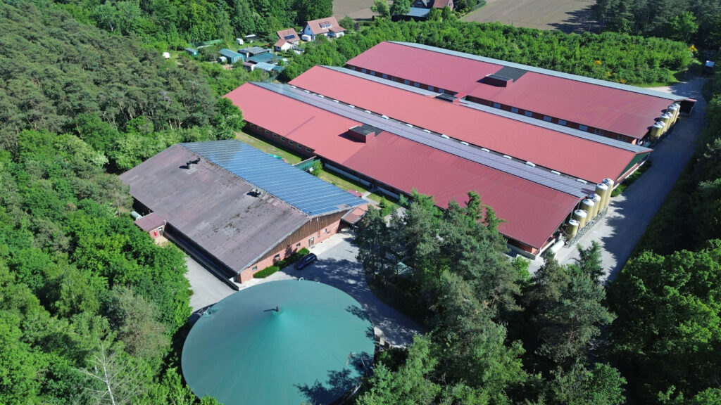 The farm near Dorsten is surrounded by trees.