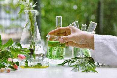Phytogenics improve pig performance and sustainability
