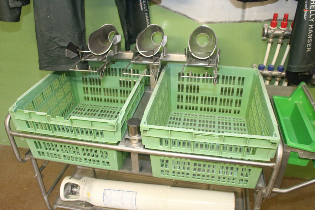 Castration is permitted, provided that this happens using isoflurane. This device helps in that process.