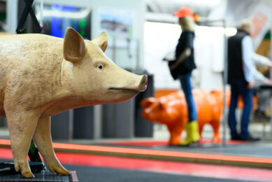 Snapshot of EuroTier 2024. Photo: DLG