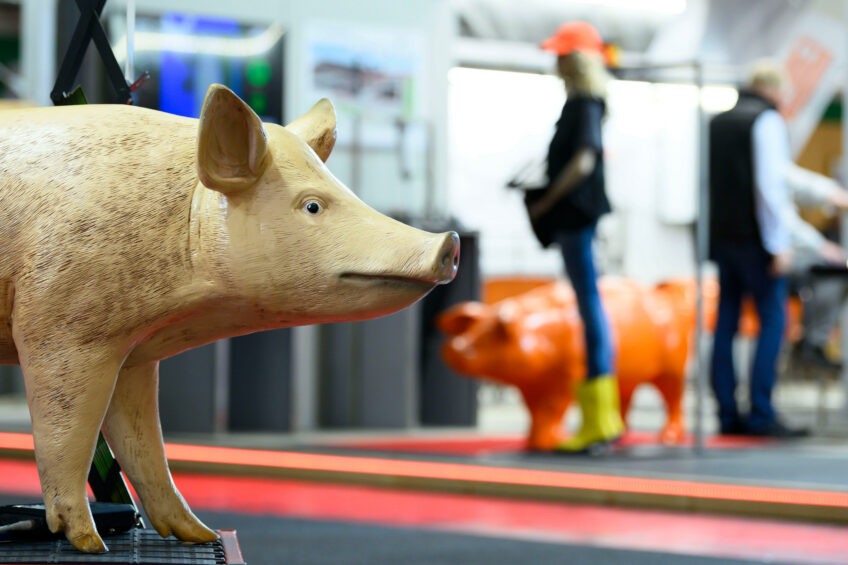 Snapshot of EuroTier 2024. Photo: DLG
