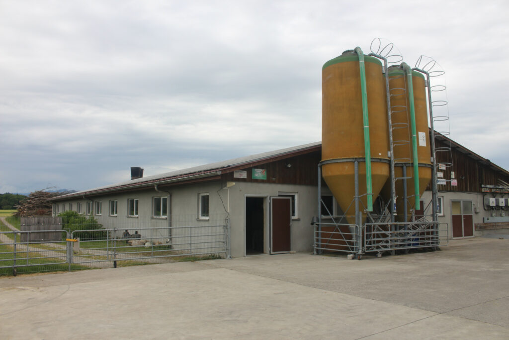 At Reinmann Farm, pigs have been kept for 3 generations.