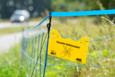 ASF fencing put up in 2024 in the German state Hesse. Photo: Twan Wiermans
