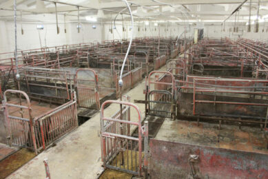 The effect of an ASF outbreak in the EU: empty pig houses. This picture was taken on a farm in Lithuania. Photo: Vincent ter Beek