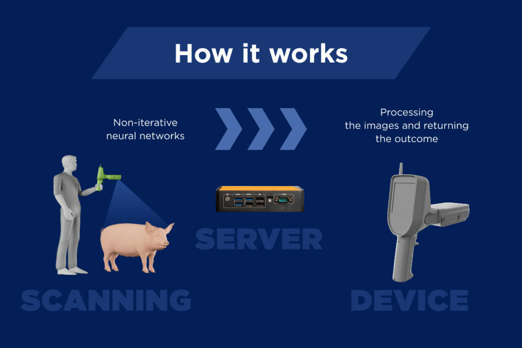 At the core of the system is a powerful camera, which captures 3D images of animals in one click, ensuring they are high-quality, regardless of poor lighting or animal movement.