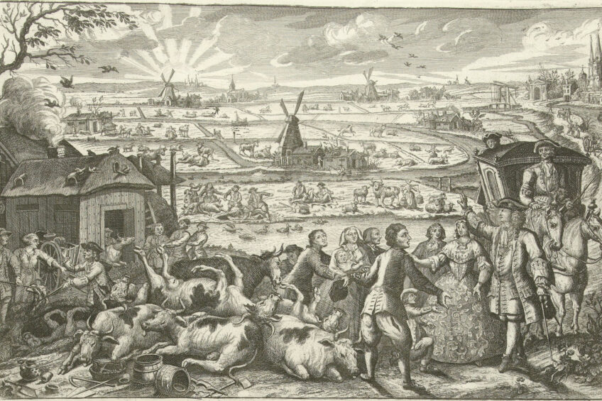 Rinderpest came in waves over the Netherlands – this depiction by Jan Smit shows the effects in 1745. Illustration: Wikipedia